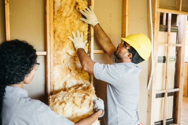 Best Blown-In Insulation  in Mayville, MI